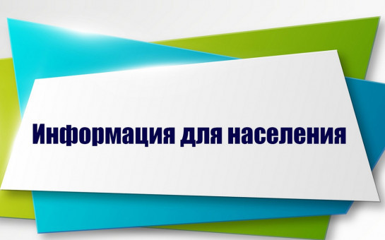 Результаты публичных слушаний по исполнению бюджета Лебедевского сельсовета Тогучинского района Новосибирской области за 2024 год