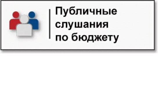 Публичные слушания по отчету об исполнении бюджета Лебедевского сельсовета за 2024 год